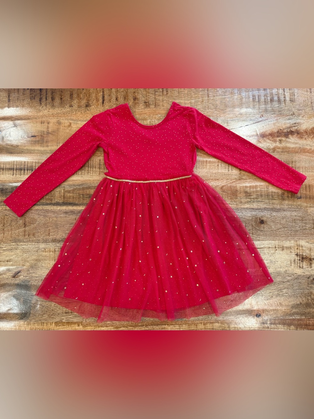 Hanna Andersson dress with shimmer tulle